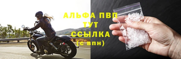 дмт Белокуриха