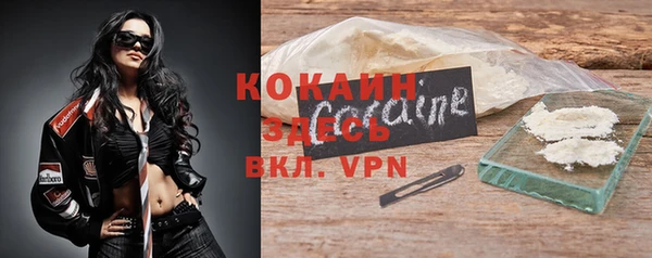 дмт Белокуриха