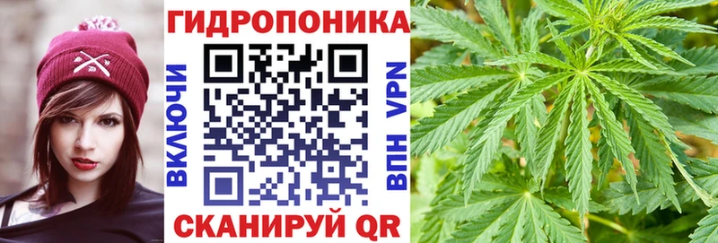 Бошки марихуана Bruce Banner Верея